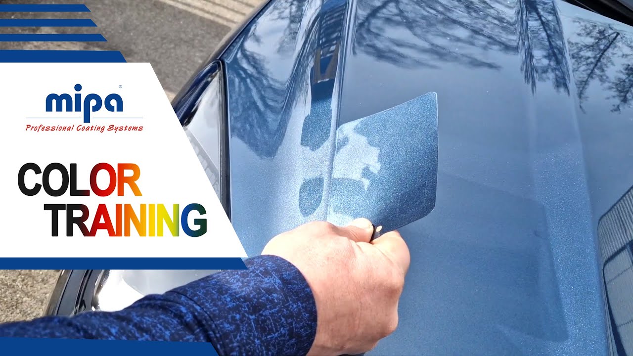 Mipa color training