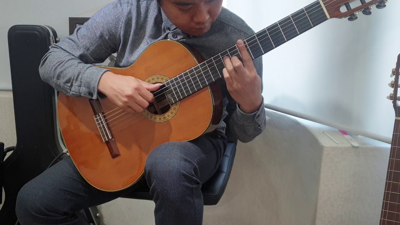 Cavatina - Stanley Myer's  (영화 '디어헌터') ost classic guitar 클래식 기타 연주 필기타