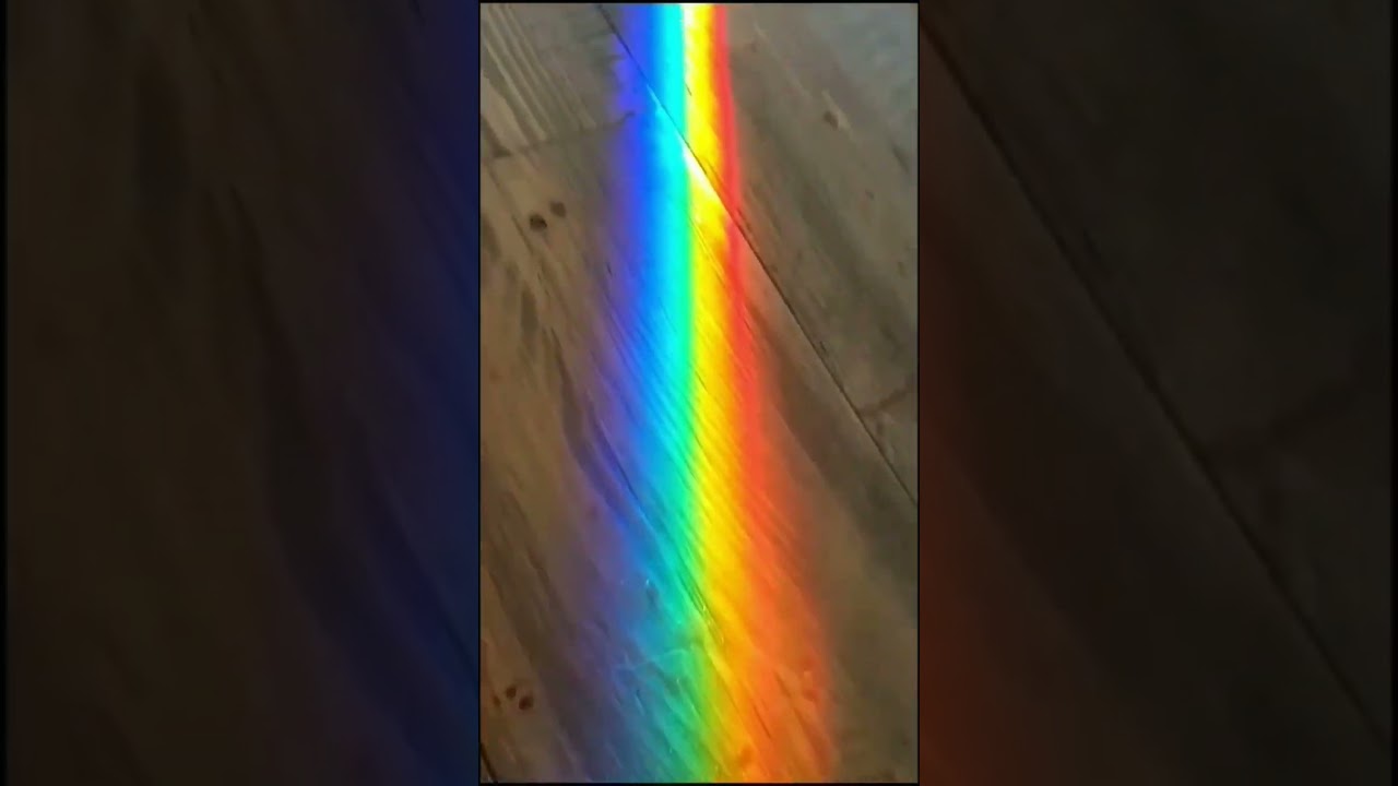 Seven colours of White #science #scienceandfun #experiment #shorts #viral #trending #physics