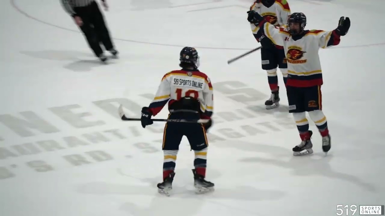 PJHL (Family Day) - Tavistock Braves vs New Hamburg Firebirds