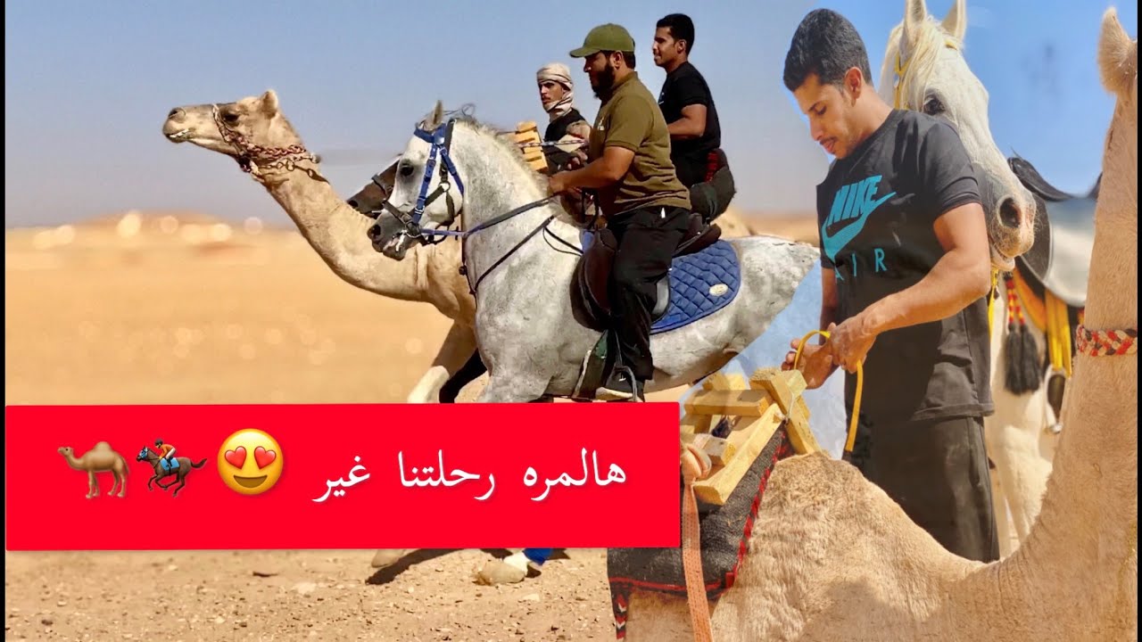 رحلتنا هاذي غير 😍🐪🐎 فيديو رهيب الهجن والخيل