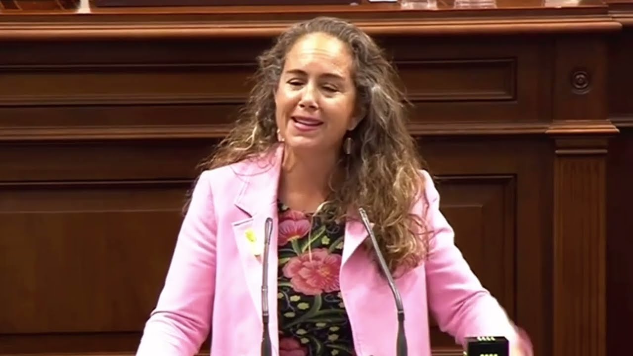 Paula Jover (VOX) sobre los Aeropuertos Canarios