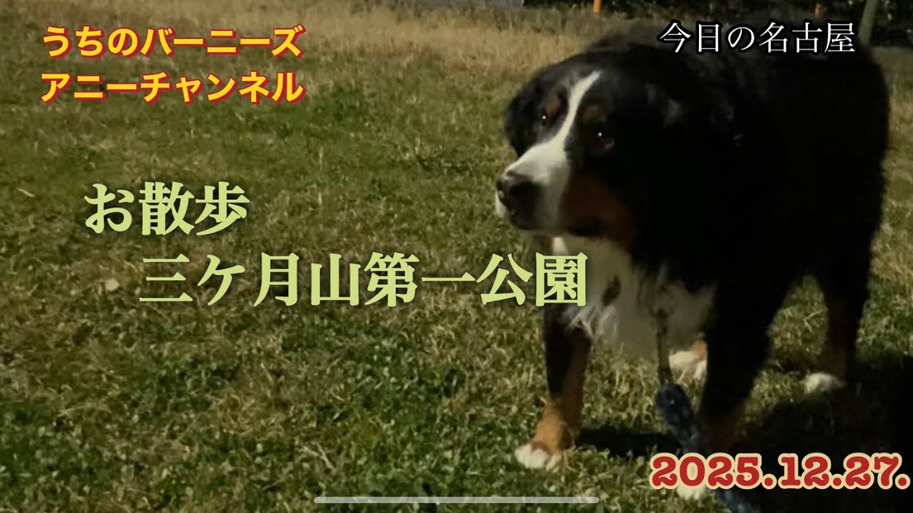 今日の名古屋 お散歩 三ケ月山第一公園　2025.12.27.