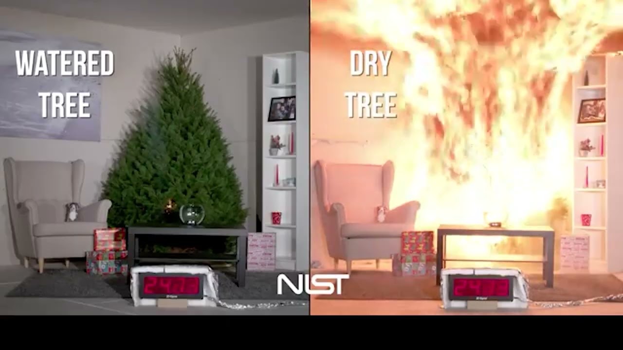 Christmas Tree Fire Safety