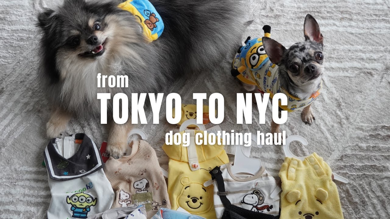 From Tokyo To NYC: Dog Clothing Haul! | Life in NYC