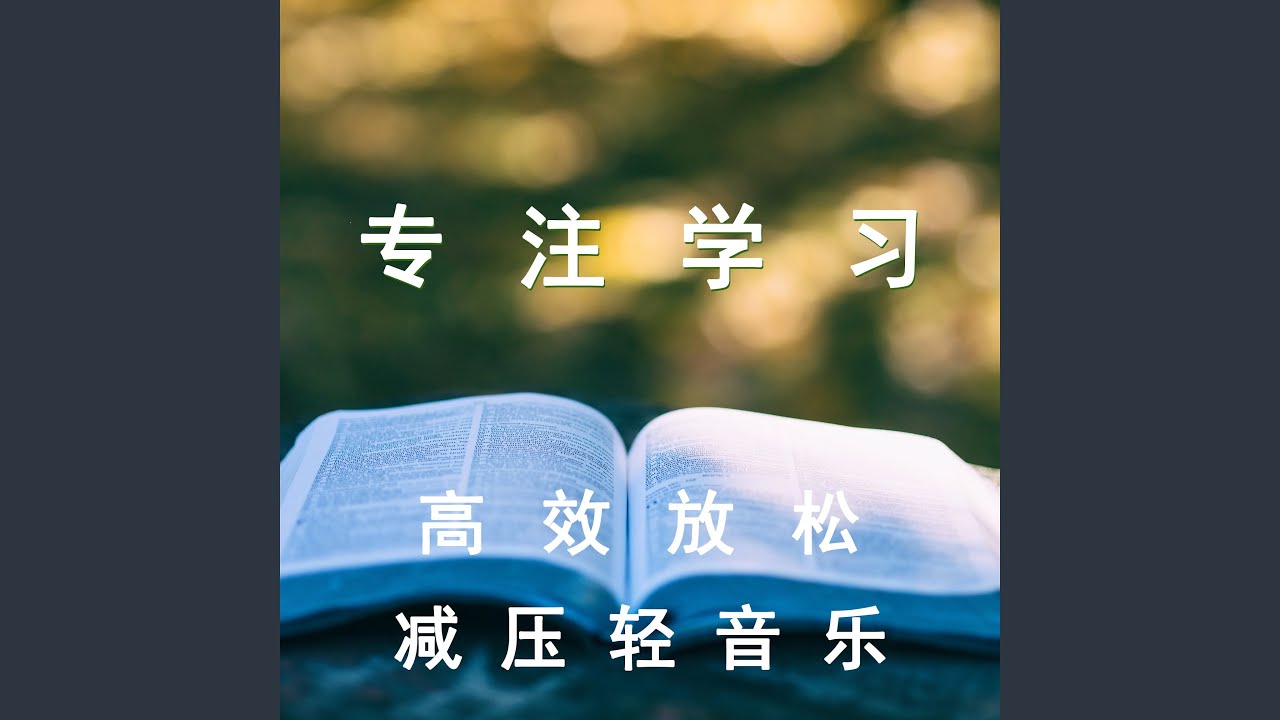 专注学习