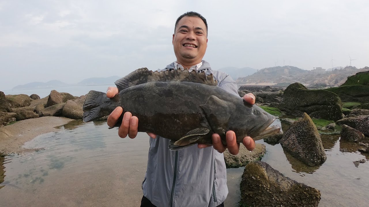 【兄弟趕海】大熊新年海邊趕海，水坑裏抓到名貴魚一只能值一千多，急忙跑著回去賣
