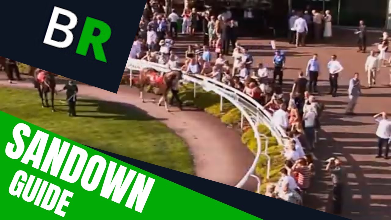 Sandown Racecourse Guide | British Racecourse Review