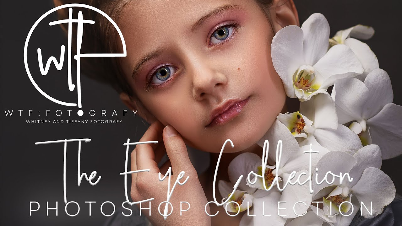 WTFotografy - The Eye Collection