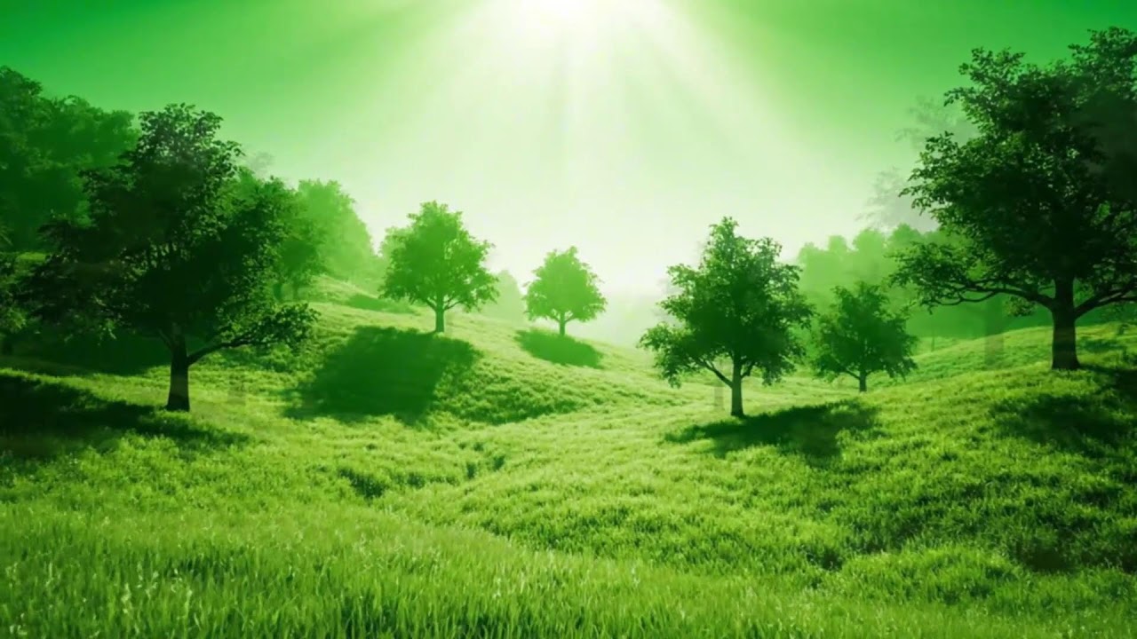Paisaje Verde Luminoso | Frecuencias Suaves para Equilibrio y Renovación Interior
