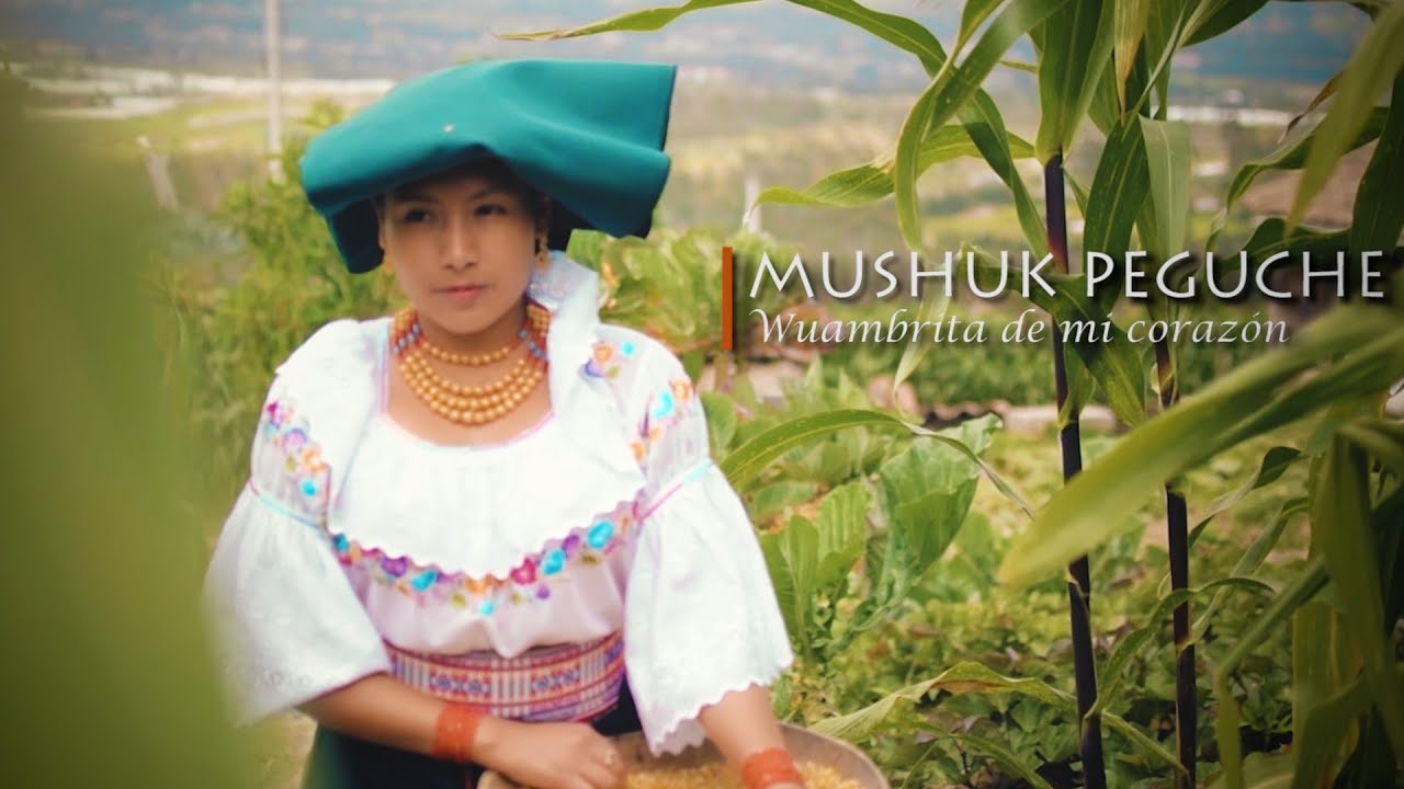 Mushuk Peguche - Wambrita de mi corazon  (Video oficial )