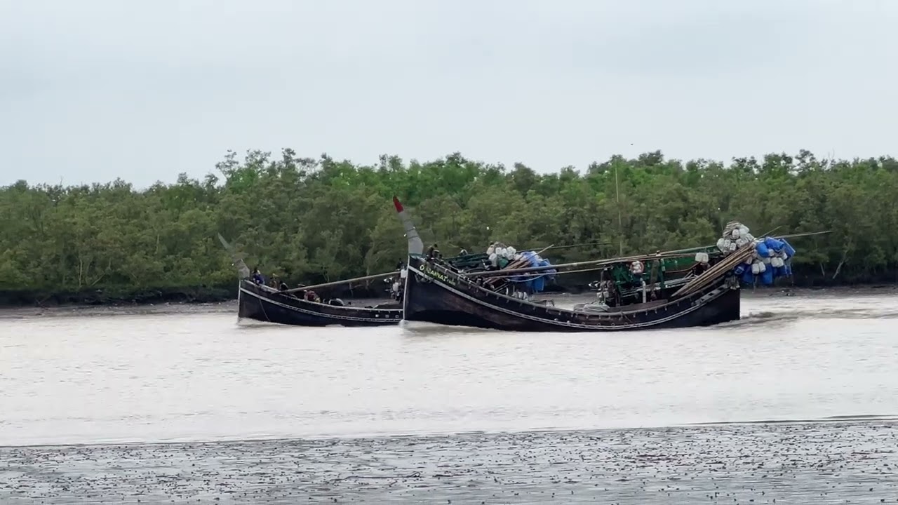 মাছ ধরার নৌকা আসছে কক্সবাজারে