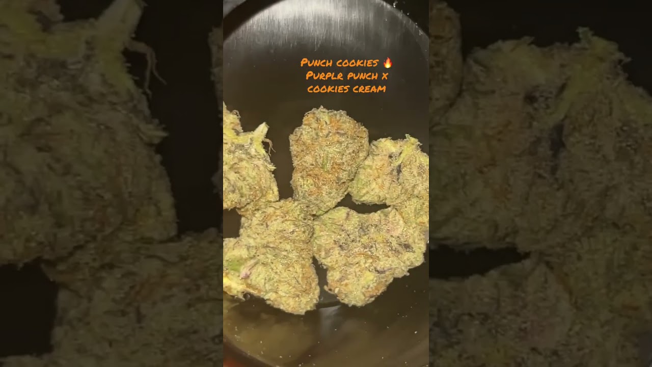 Punch cookies 🍪
