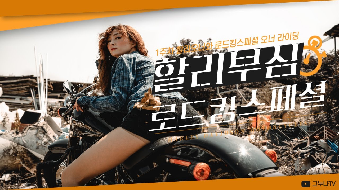 [Motovlog]#할리부심 어쩔 |  #할리데이비슨  #로드킹스페셜 가격? | #소프테일슬림 여자오너 추앙해 |120개월 할부로 로드킹을?| #강만장