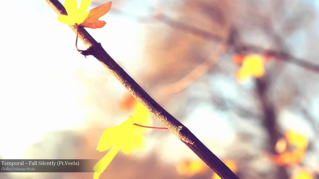Temporal - Fall Silently (Ft.Veela)