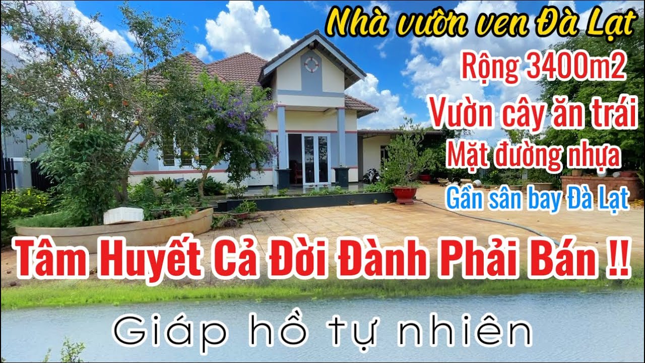 🏡BÁN ĐI TÂM HUYẾT CẢ ĐỜI| Nhà vườn ven Đà Lạt, mặt tiền nhựa - giáp hồ rộng 3400m2, có 200m2 thổ cư