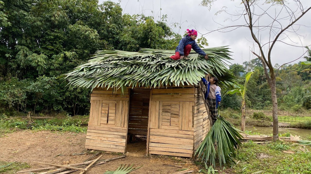 Busy Construction: Single Mother Built a Wooden House with Her Own Hands, Living Alone in the Forest