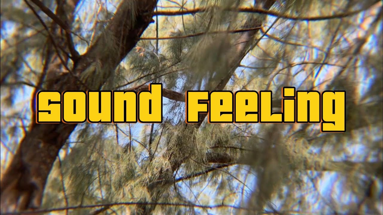 Sound Feeling