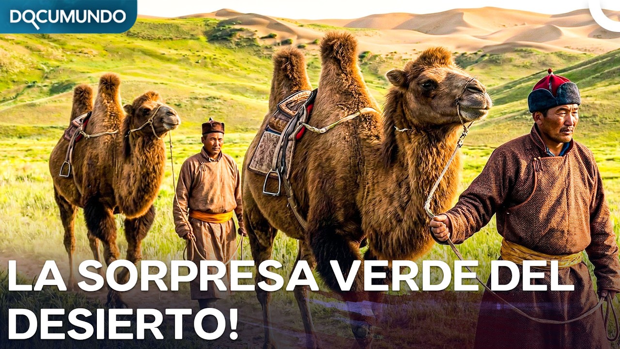 Desierto de Gobi: Dunas de arena y la vida silvestre verde oculta | Documental Español