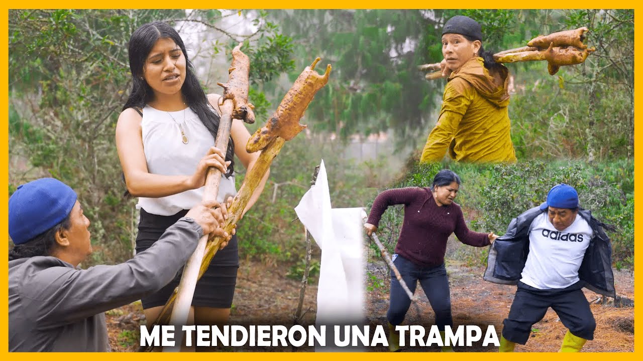 Se llevaron mi cuy y toda la culpa la tiene mi vecino