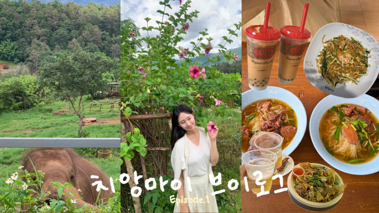 치앙마이 여행 브이로그 | 치앙마이 숙소추천 | 3박4일 치앙마이 여행