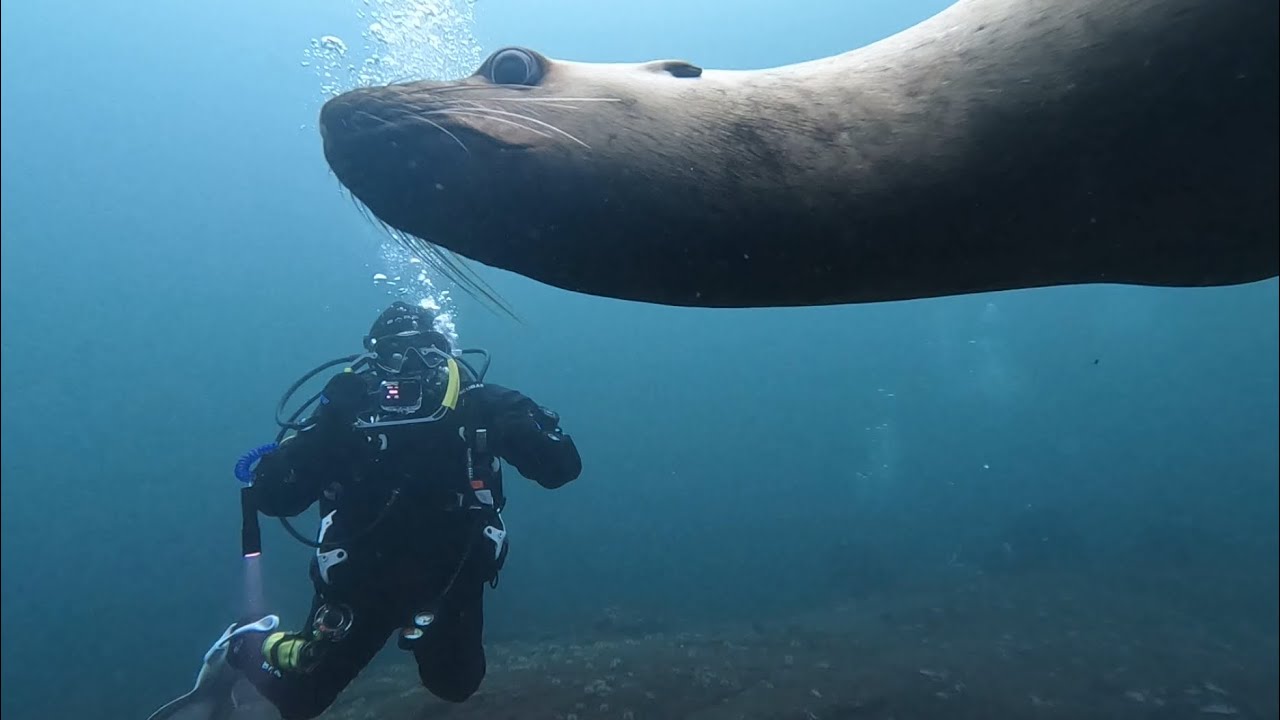 Hornby Island Surprises.. 😳