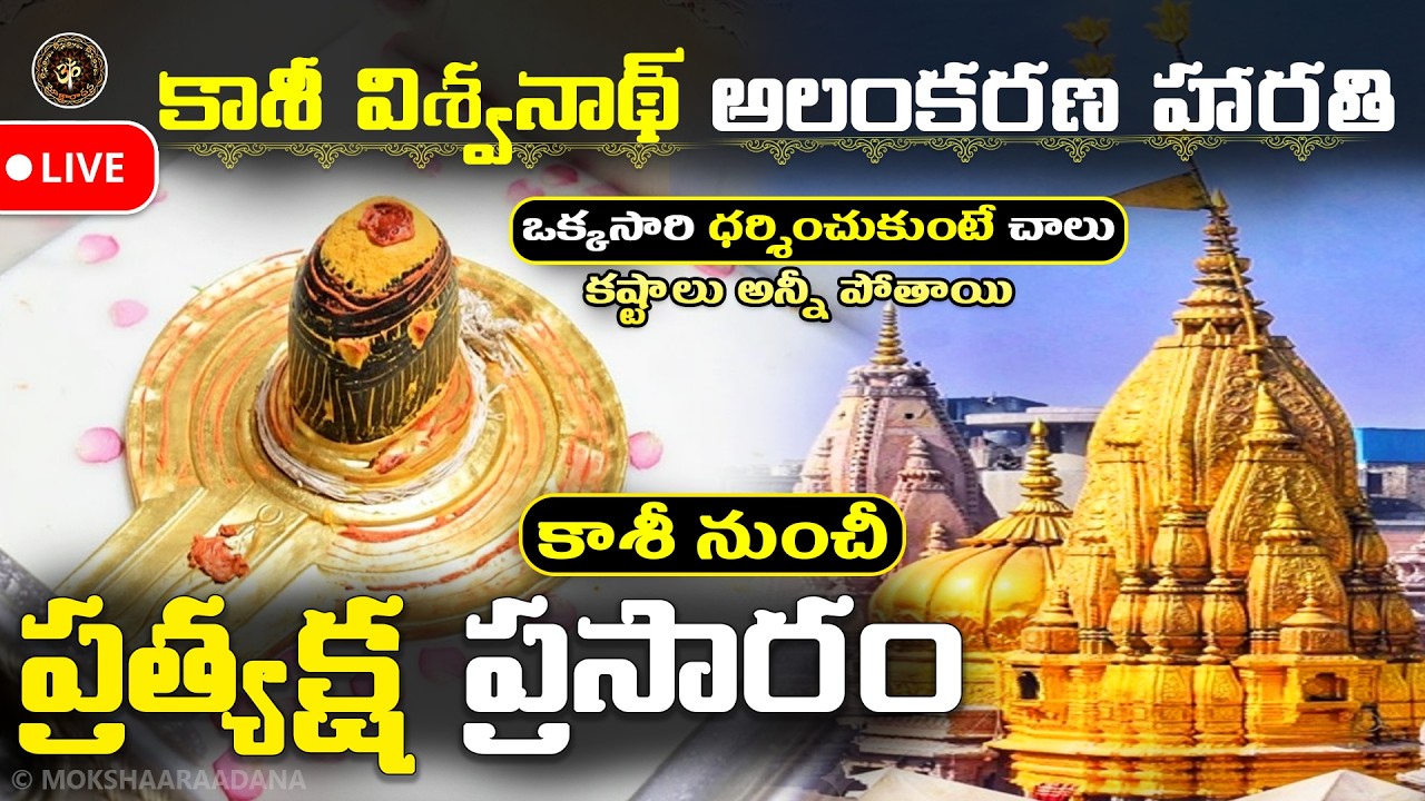 కాశీ విశ్వనాథ్🙏: కొన్ని కోట్ల రెట్ల ఫలితాలు వస్తాయి: LIVE STREAMING