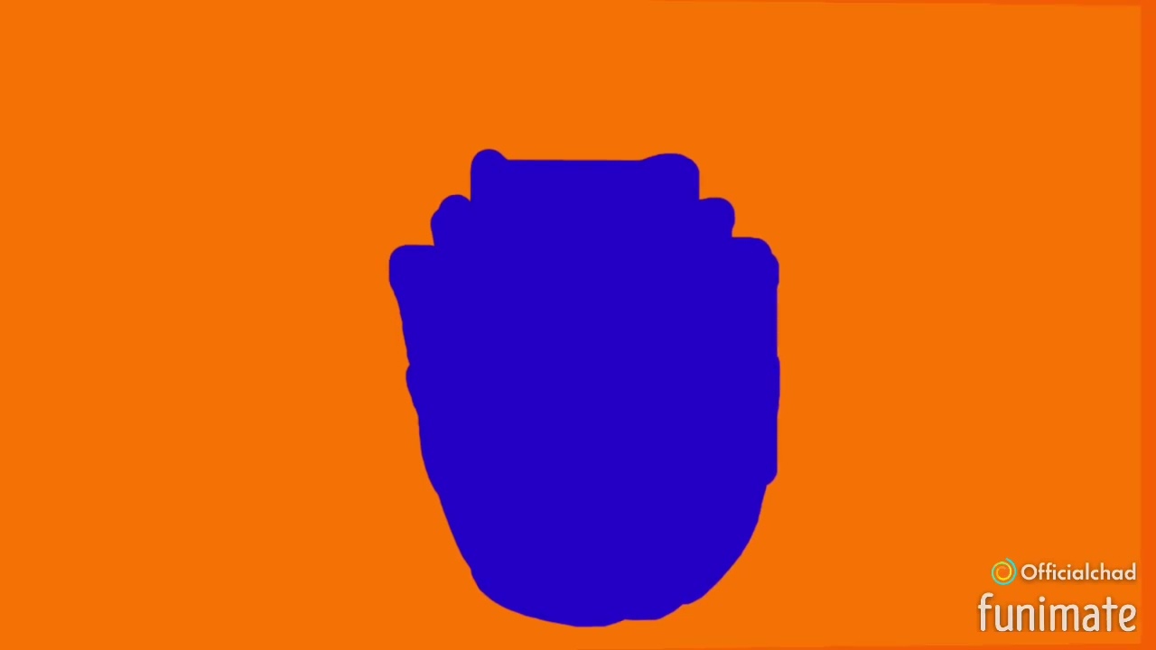 WB SHIELD FLIP FOR WB/NLC LOGO