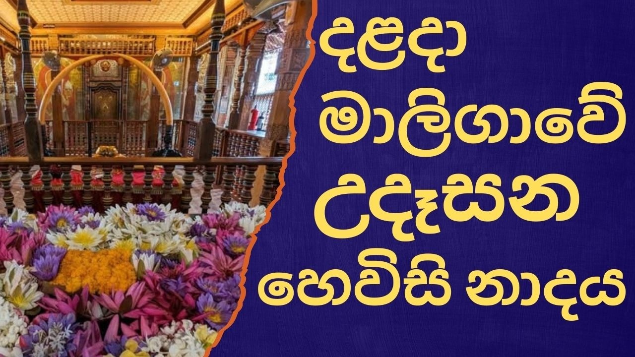 දළදා මාලිගාවේ සවස් තේවා හේවිසි – හදවත පිරිසිදු කරන නාදය 🎵 SIRI DALADA THEWA HEVISI NADAYA