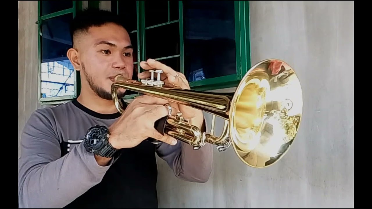 Only You - The Platters (Trumpet) Cover 🎺