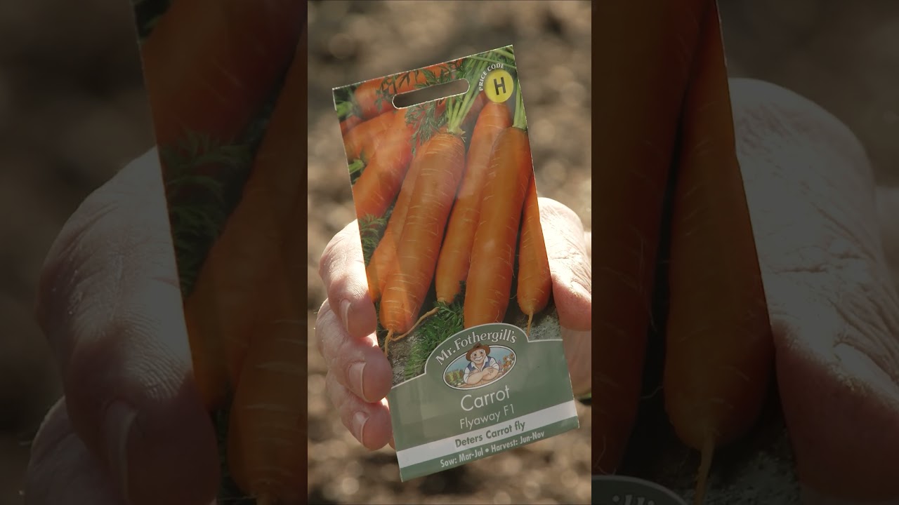 A Carrot Fly-Proof Carrot? 🥕 #alantitchmarsh #gardening #growyourownfood