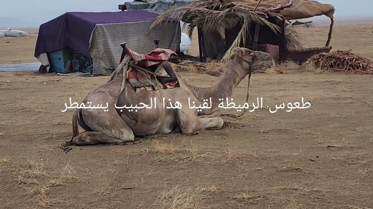 رحلة من الباحة الى ناوان