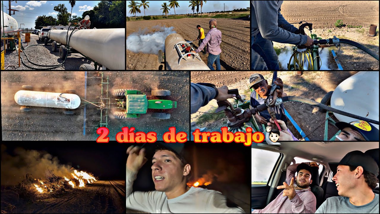 ASÍ PASAMOS ESTOS DOS DÍAS DE TRABAJO Y MUCHA RISA CON LOS PLEBES ‼️😂