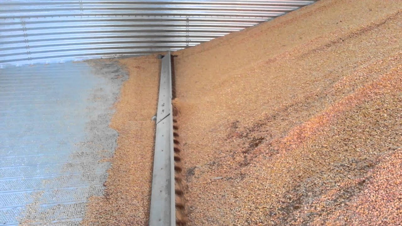 Sweep auger