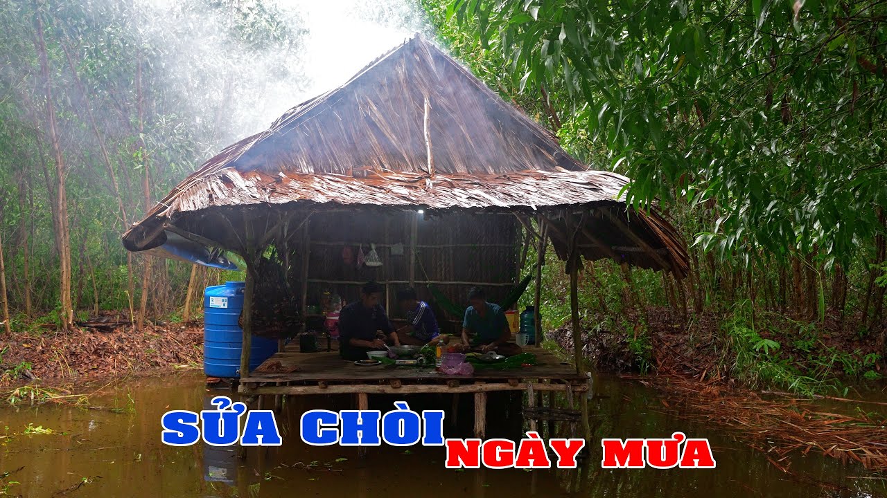 Sửa Chòi Lá Giữa Ngày Mưa - Biệt Lập Giữa Rừng