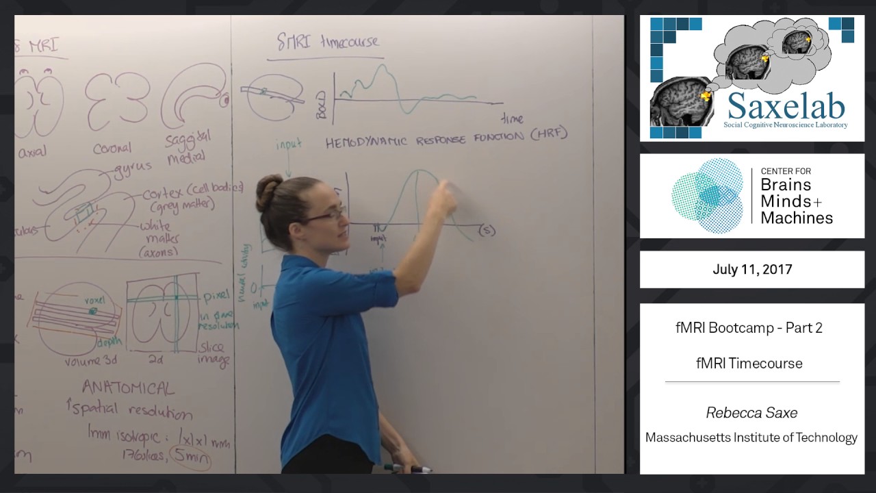 fMRI Bootcamp Part 2 - fMRI Timecourse