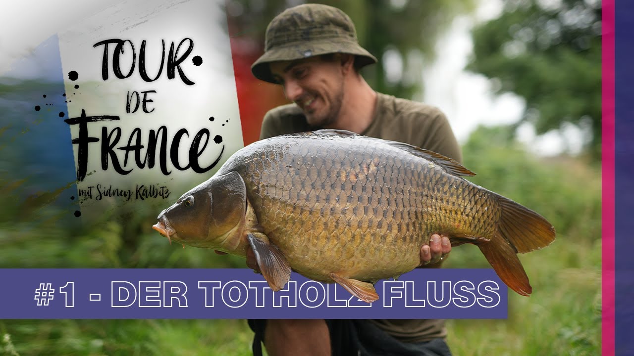 Tour de France #1 - Der Totholz Fluss 🐋 | Karpfenangeln am Fluss | Frankreich |