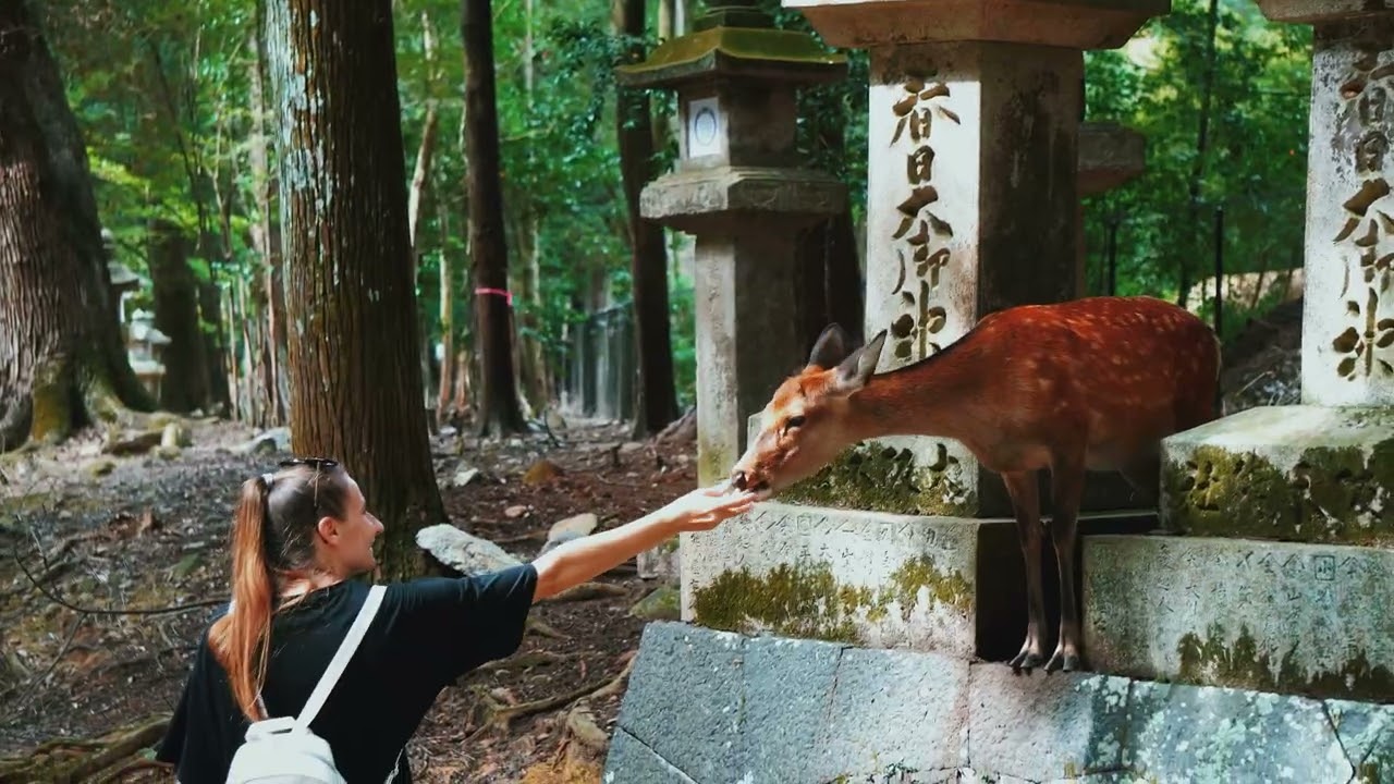 Nara Deer Park