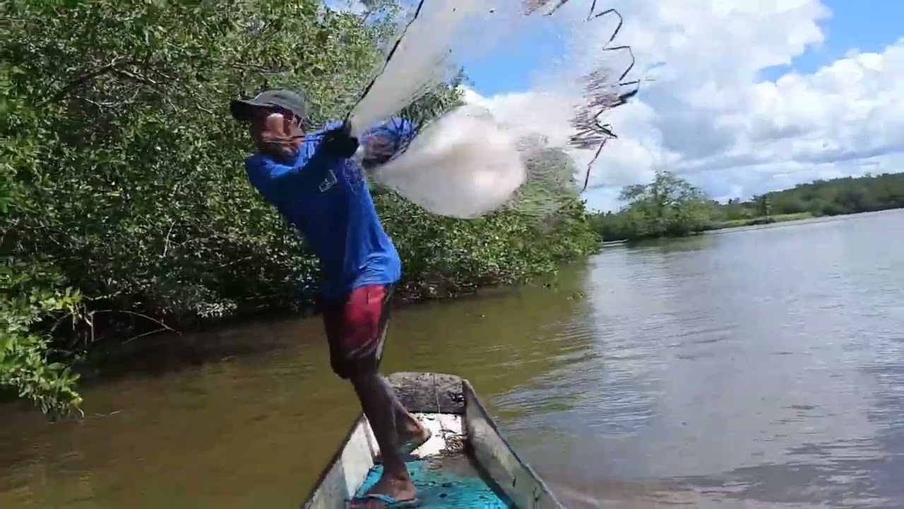 Pescaria de tarrafa na Maré grande temos que ser rápido pra aproveitar os pontos 🐟🐟🐟