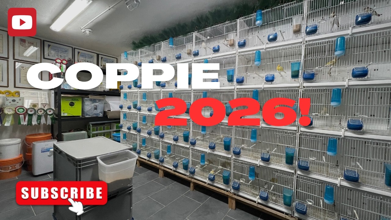 Coppie formate: pronti alla riproduzione 2026!