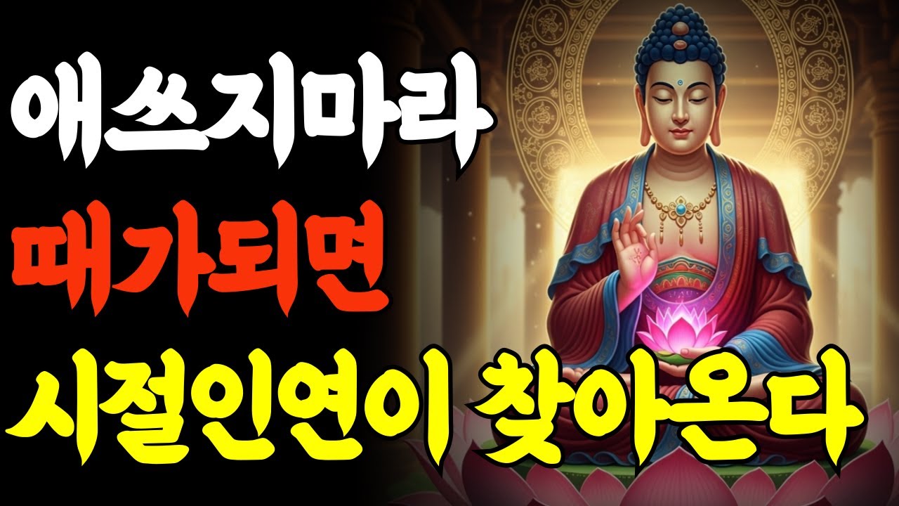 부처님 말씀 | 애쓰지마라 때가되면 시절인연이 찾아온다