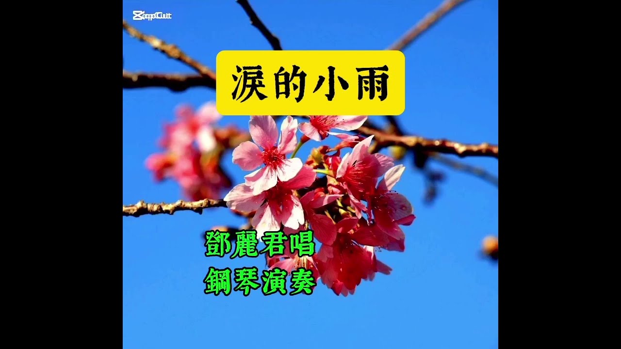 #淚的小雨 鄧麗君唱 經典老歌 是一首對愛人的思念寄託在綿綿細雨中 鋼琴演奏 Piano-Cover