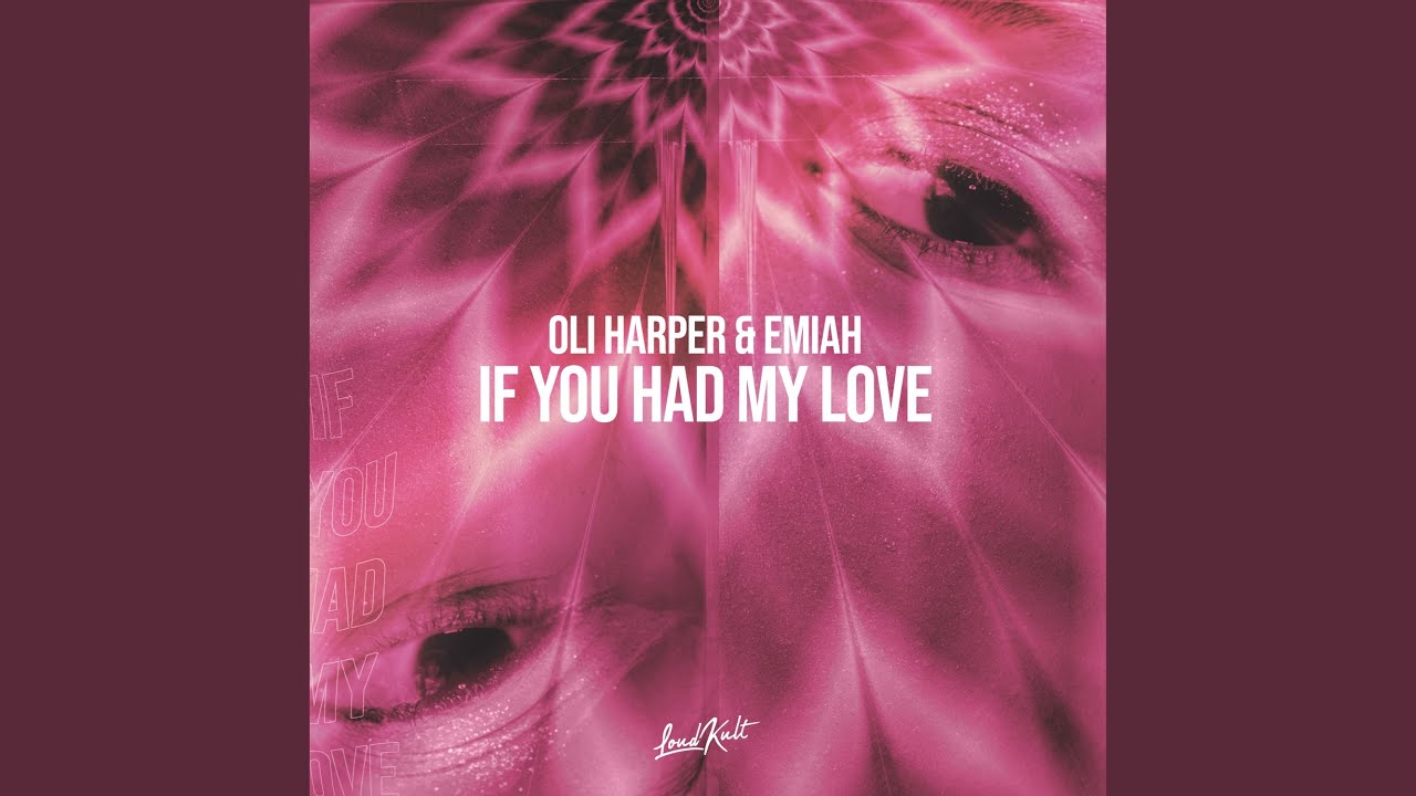If You Had My Love