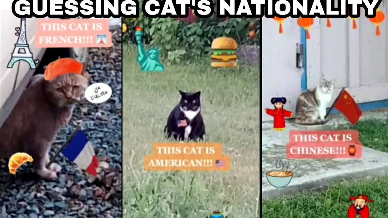 Finding Cats Nationality by calling them different names