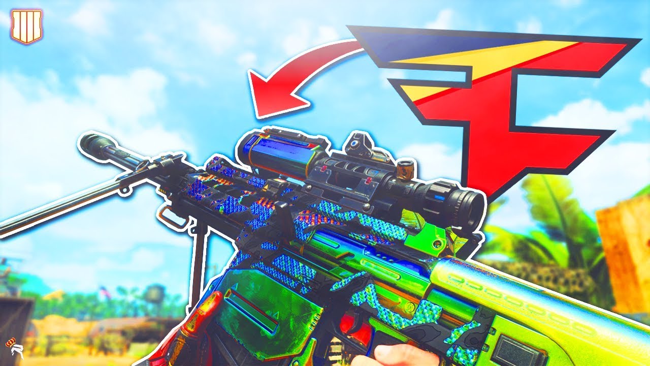 PALADIN is THE BEST SNIPER... (Best BO4 Sniper Class Setup)
