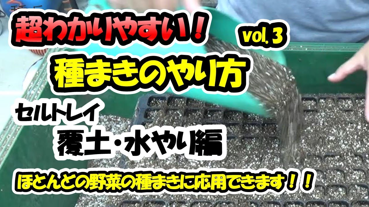 【育苗のプロが教える！】種まきのやり方vol.3「セルトレイ」～覆土・水やり編～ほとんどの野菜の種まきに応用できます！