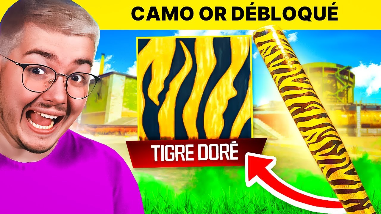 J'ai débloqué le CAMO OR de la BATTE sur WARZONE mais ...