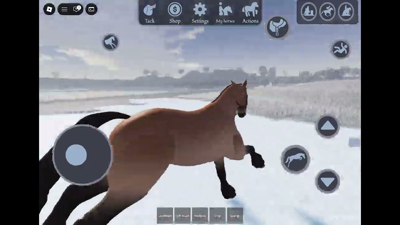 My new horse