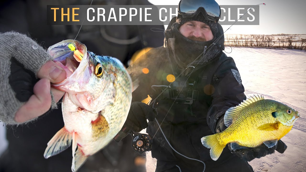 TROPHY Crappie & Bluegill Sunrise FEEDING FRENZY - The Crappie Chronicles (S6:E3)