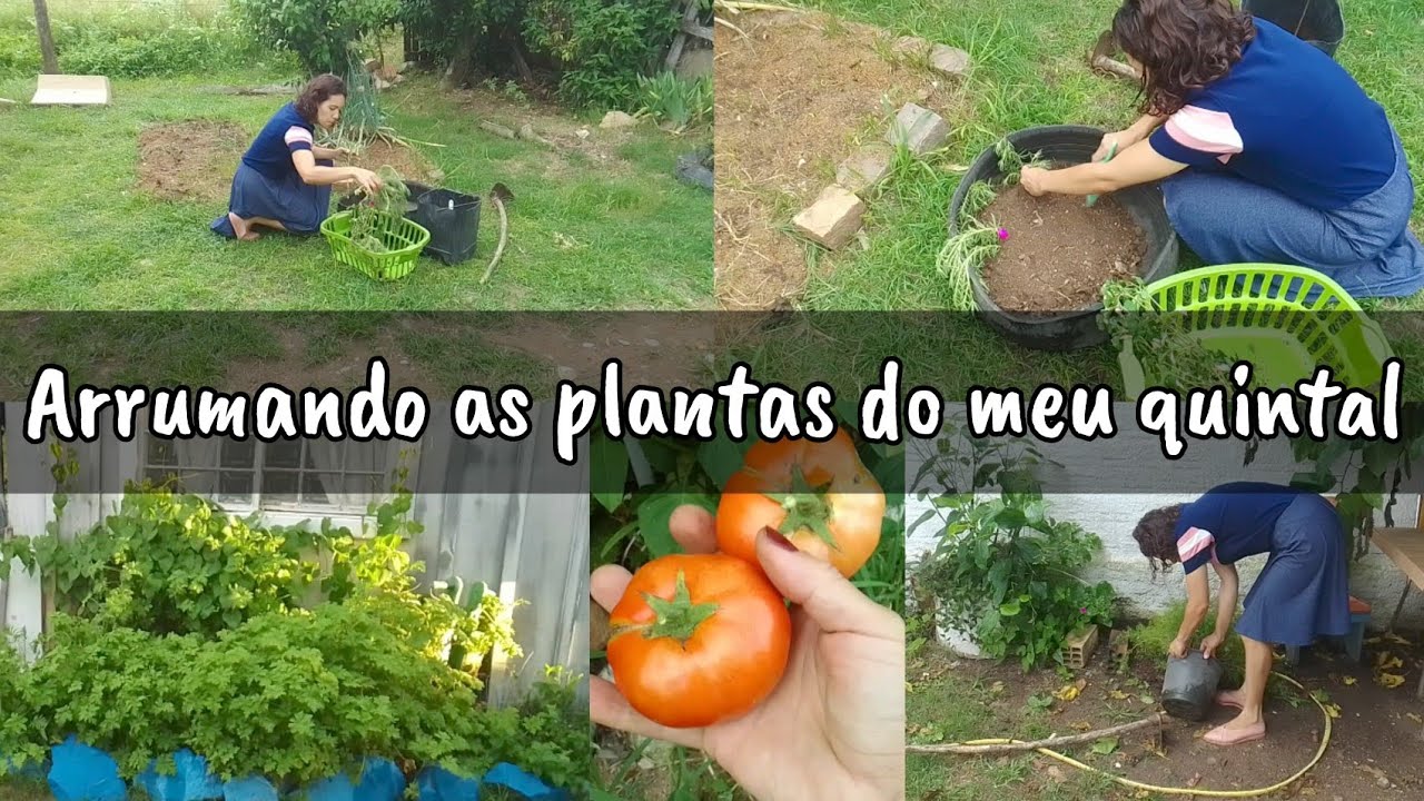 Uma gaúcha que mora na cidade,mas vive como se morasse no campo cercada do verde🌿